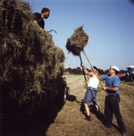 108125 Afbeelding van enkele boeren tijdens het hooien op het land van Schagen (Groenewoudsedijk 11) in de polder ...
